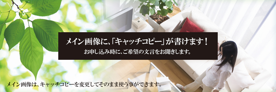株式会社セイフティーリノベーション 株式会社セイフティーリノベーション
